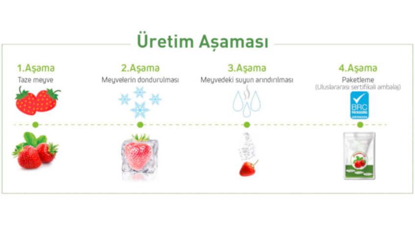 Freeze Drying - Dondurarak Kurutma ile Gıdalar Güvence Altında