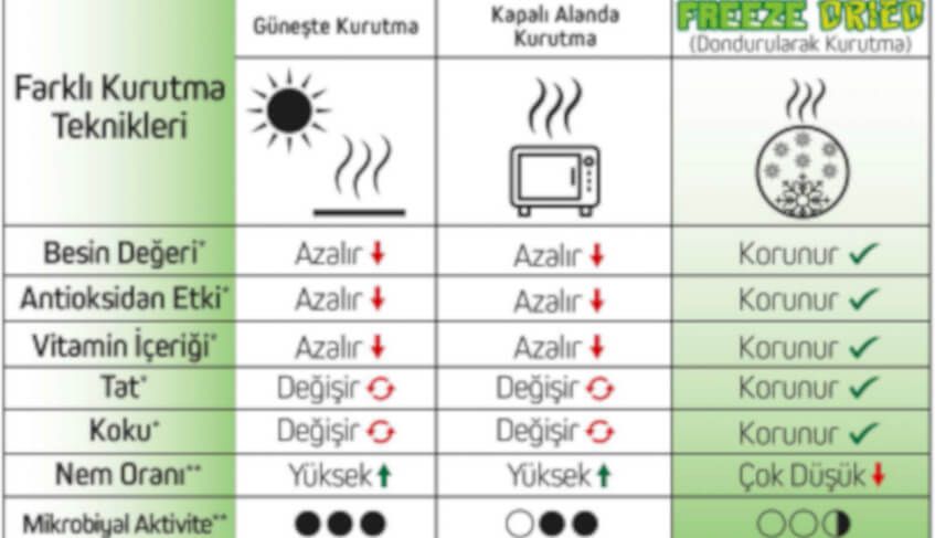 Freeze Dry Kurutma Yönteminin Önemi